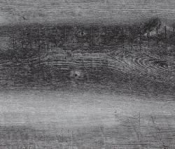 Изображение продукта objectflor Expona Commercial - Burnt Beam Wood Rough