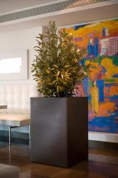 Изображение продукта Vondom Fang Cubo alto