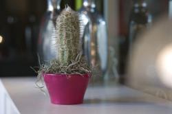 Изображение продукта Vondom Nano Centro alto