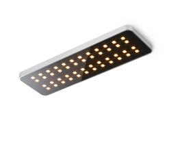 Изображение продукта Trizo21 By-O 48 GL