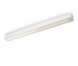 Изображение продукта Trizo21 By-O 60 DGL OUT