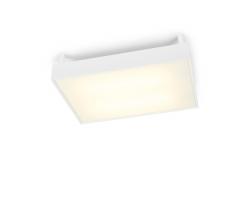 Изображение продукта Trizo21 Izor G W-C