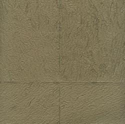 Изображение продукта Elitis Ardoise VP 634 09