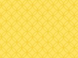 Изображение продукта Zimmer + Rohde Solena 113