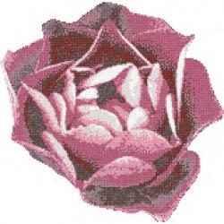 Изображение продукта Bisazza Rosa Rosa mosaic