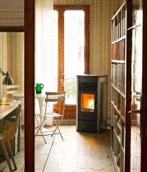 Изображение продукта MCZ Ego | Pellet