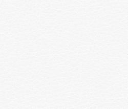 Изображение продукта Alonso Mercader Evolve Grain 00