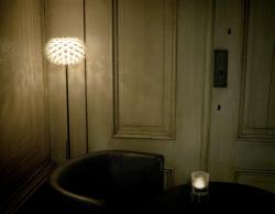 Изображение продукта Freedom Of Creation Palm Standing lamp