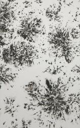 Изображение продукта Antique Mirror Arabesque Lanzarote 3.