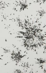 Antique Mirror Arabesque Lanzarote 3. - 2