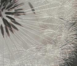 Изображение продукта APE Ceramica Zeppelin Decor Lucille acero