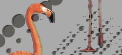 Inkiostro Bianco Flamingos - 2