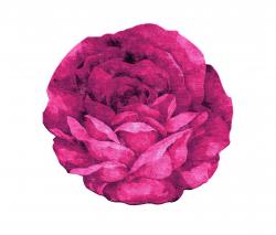 Изображение продукта Illulian First Date