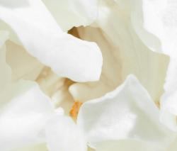 Mr Perswall What's Your Story | Boule de Neige - 2