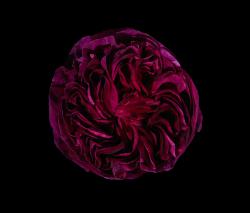 Изображение продукта Mr Perswall What's Your Story | Charles de Mills