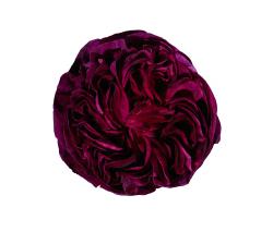 Изображение продукта Mr Perswall What's Your Story | Charles de Mills