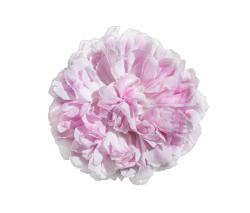 Изображение продукта Mr Perswall What's Your Story | Jacques Cartier