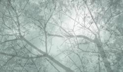 Изображение продукта Mr Perswall Shades | Sunshade