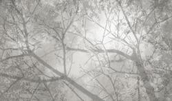 Изображение продукта Mr Perswall Shades | Sunshade