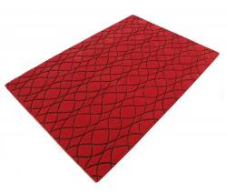 Nuzrat Carpet Emporium Strange Red - 5