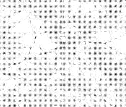 ornament.control Light and shadow| 24.082.1  | Graphic - 2