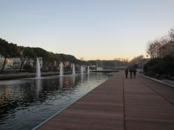 Изображение продукта RAVAIOLI LEGNAMI Angelim Amargoso