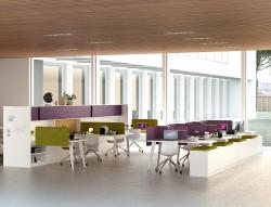 Изображение продукта Martex Vertebra