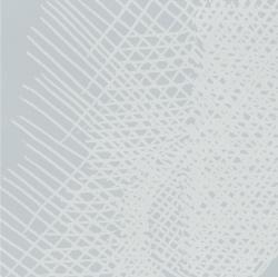 Изображение продукта 14oraitaliana Acquaforte Cenere dec lino 01