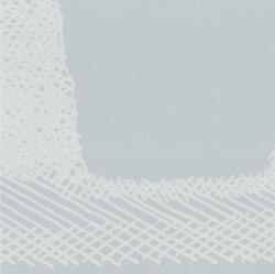 Изображение продукта 14oraitaliana Acquaforte Cenere dec lino 09