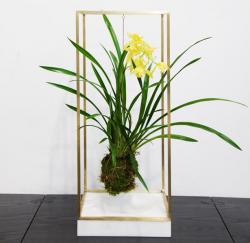 Изображение продукта Farrah Sit Plant Bondage Marble