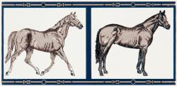 Petracer's Ceramics Grand Elegance country life horses A green - 1
