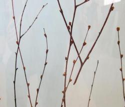 complexma Charisma Glass Birch Branch - 1