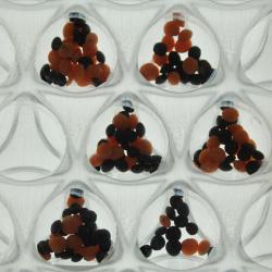 Изображение продукта Design Composite Clear-PEP PC/UV PC filled with lenses