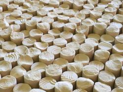 Изображение продукта Kenzan Kenzan Clay Peg