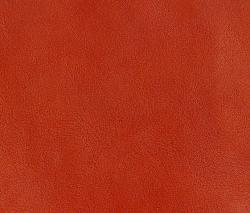 Изображение продукта Montis Rancho Cohiba