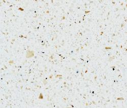 Изображение продукта Staron STARON Tempest horizon