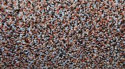 Изображение продукта OBJECT CARPET Pescara 1025