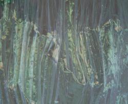 Изображение продукта Nya Nordiska Icy