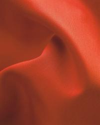 Изображение продукта Nya Nordiska Lizzy