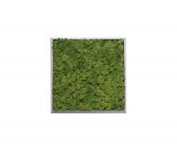 Verde Profilo Moss painting S Picture - 1