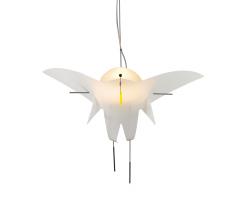 Изображение продукта OLIGO Sir Charles