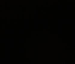 Изображение продукта Sunbrella Linen Black