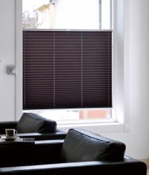 Silent Gliss Pleated Blinds - 1