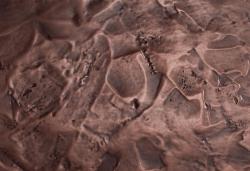 Изображение продукта VEROB Metallization | Smoothed 02