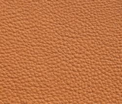 Изображение продукта Elmo Leather Elmorustical 43236 анилиновая кожа