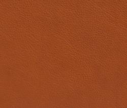 Изображение продукта Elmo Leather Elmotique 43807 анилиновая кожа