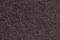 Изображение продукта Vorwerk Viola