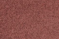 Изображение продукта Vorwerk Frame