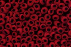 Изображение продукта Vorwerk Hammada