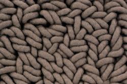 Изображение продукта Vorwerk Tundra